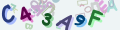 Vous must read and type the 6 chars within 0..9 and A..F