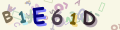 Vous must read and type the 6 chars within 0..9 and A..F